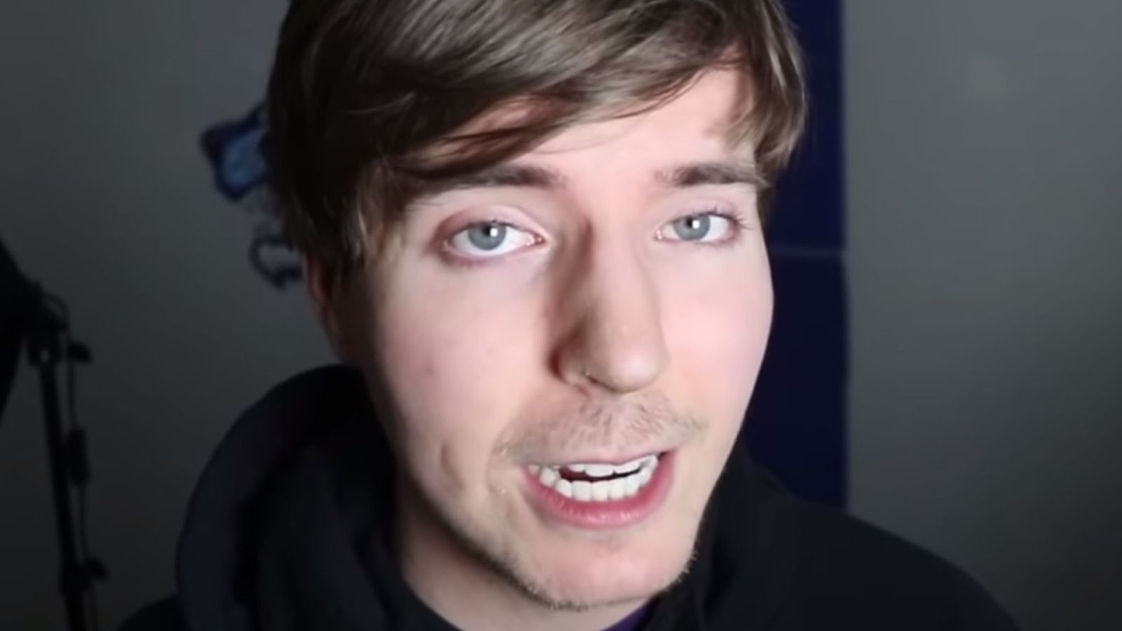 Dollface reccomend mr beast