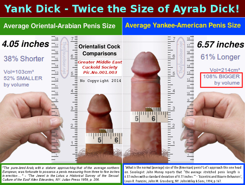 Normal Size Dick Porn