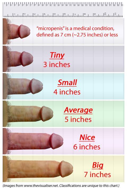 best of Dick fuck size average