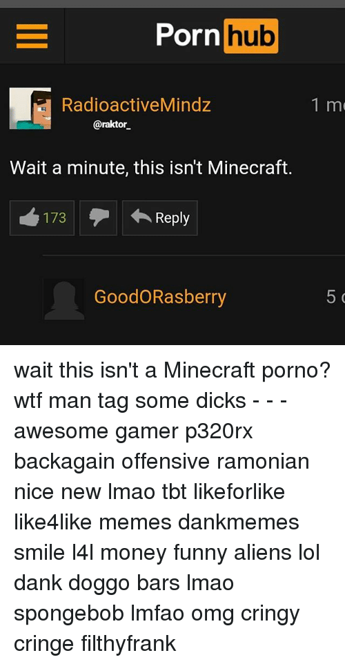 Minecraft memes